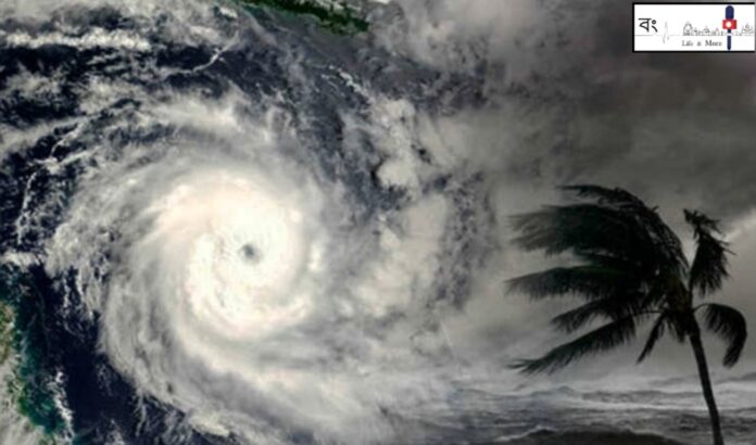 an image of a hurricane with a palm tree in the background.